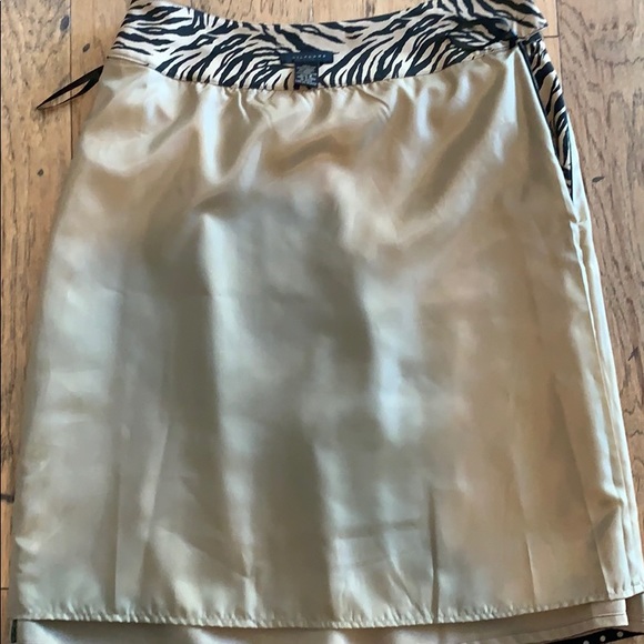 Silkland Skirt - Picture 7 of 8